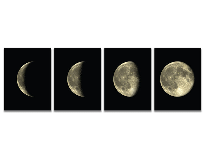 Lunar Cycles | Moon Phases Vinyl Wall Decal Set
