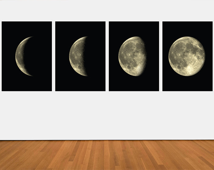 Lunar Cycles | Moon Phases Vinyl Wall Decal Set