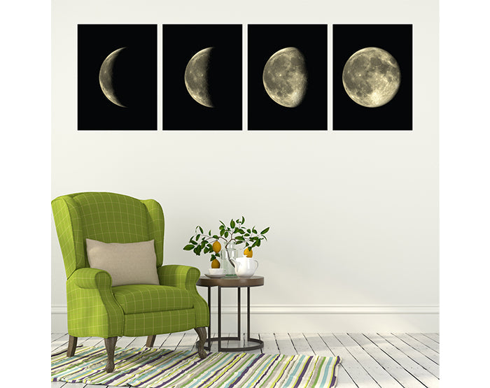 Lunar Cycles | Moon Phases Vinyl Wall Decal Set