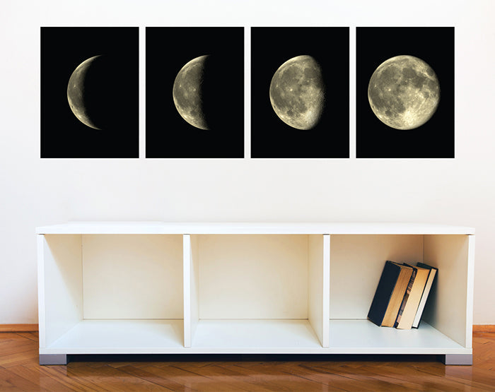 Lunar Cycles | Moon Phases Vinyl Wall Decal Set